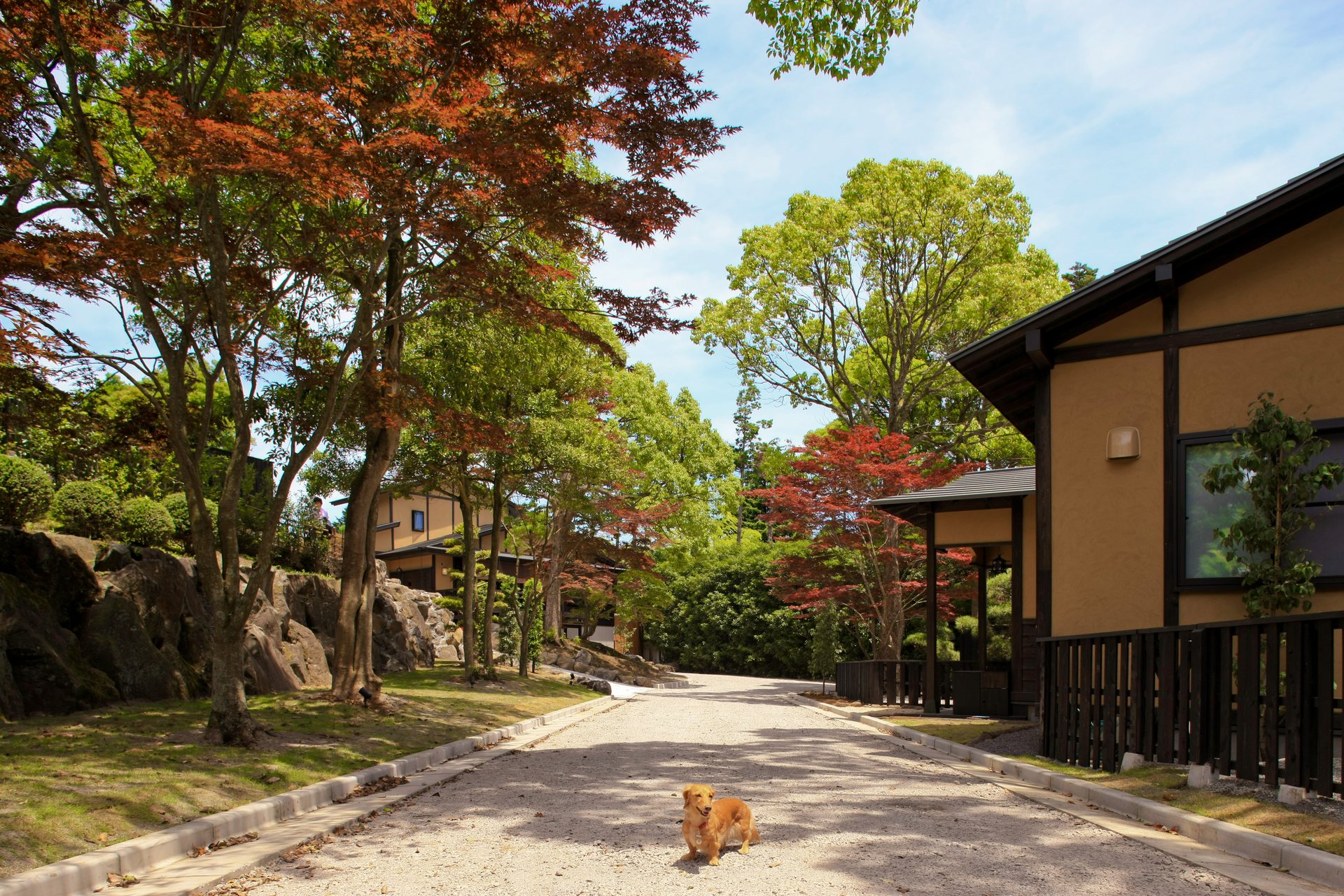 緑に囲まれた外観
